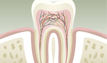 Endodonti